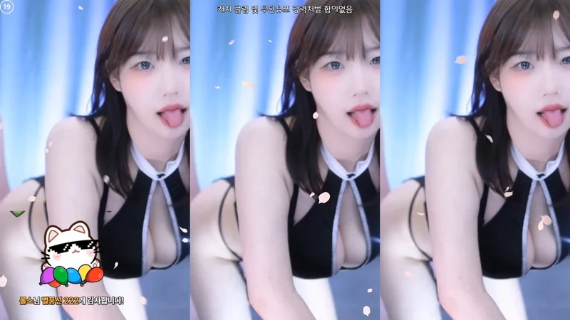 뒤치기 자세 EDM 리액션 슴부먼트 BJㅅ금